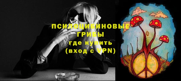 ПСИЛОЦИБИНОВЫЕ ГРИБЫ Белокуриха