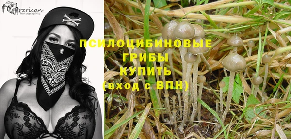 гидра Балахна