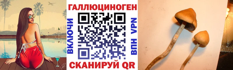 Псилоцибиновые грибы GOLDEN TEACHER  где продают наркотики  Нижние Серги 